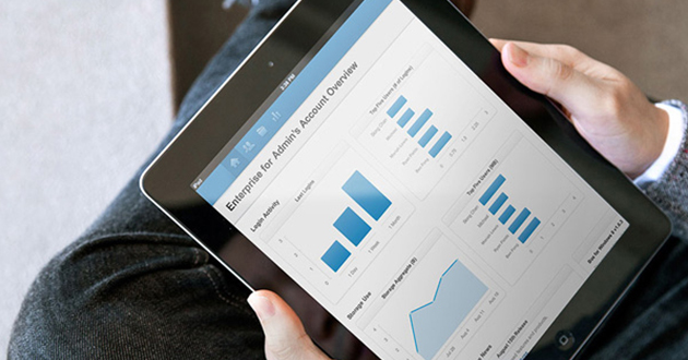 Generates Financial Reports in ERP