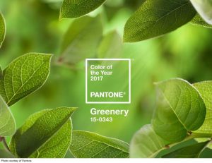 Pantone’s Color of the Year 2017 – Greenery