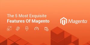 Exquisite Features Of Magento-05