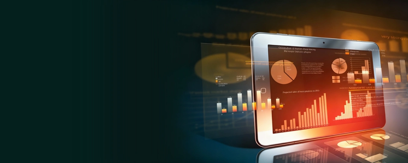 Power BI Consulting Services